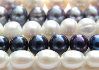 Zoetwaterparels & Schelp Parels