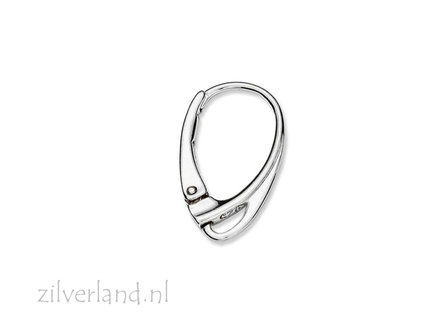 Sterling Zilveren Oorbelhaken