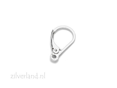 Sterling Zilveren Oorbelhaken