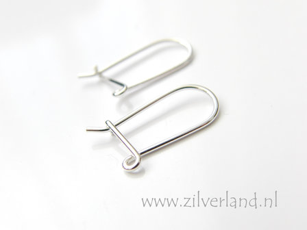 Sterling Zilveren Oorhaken