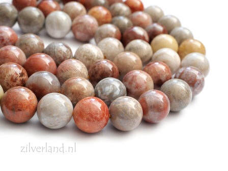 10mm Fossiele Koraal Jaspis Edelsteen Kralen