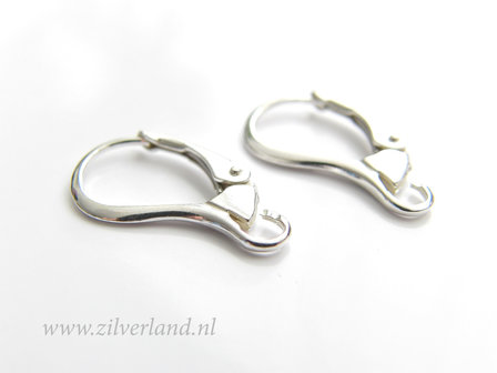 Sterling Zilveren Oorhaken
