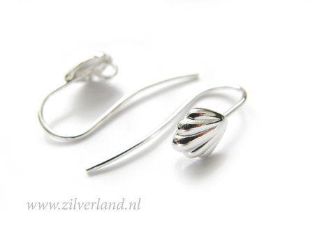 Sterling Zilveren Oorhaken