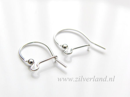 Sterling Zilveren Oorhaken