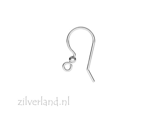- Sterling Zilveren Oorhaken- Klein