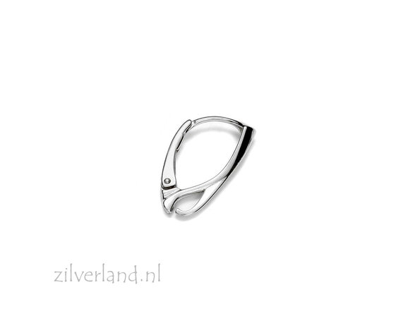 Sterling Zilveren Oorhaken