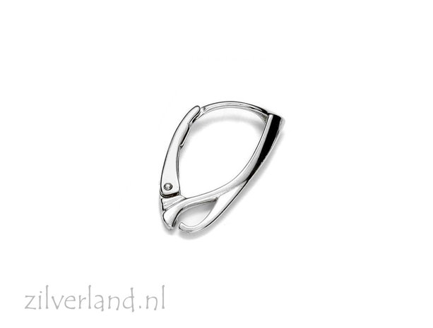 Sterling Zilveren Oorhaken