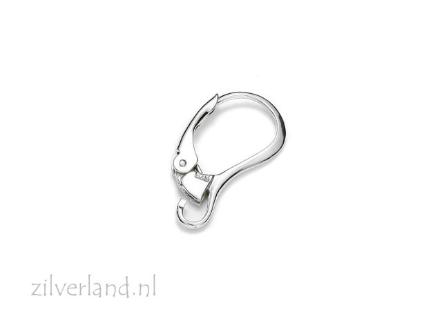 Sterling Zilveren Oorhaken
