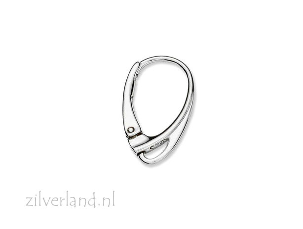 Sterling Zilveren Oorbelhaken