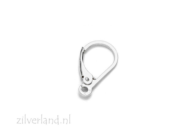 Sterling Zilveren Oorbelhaken