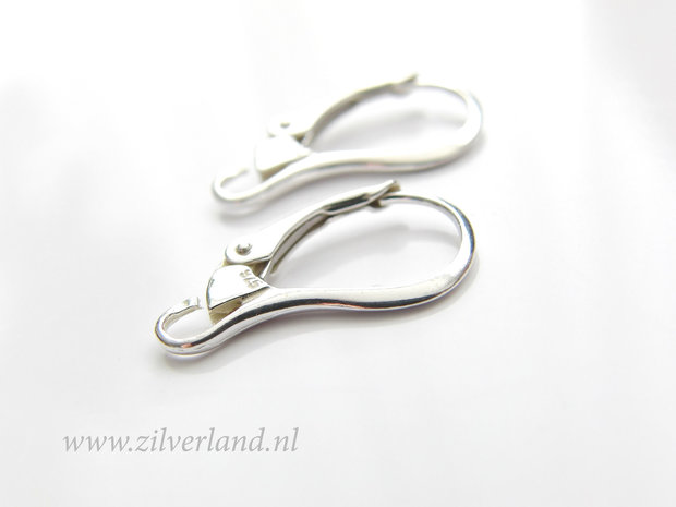 Sterling Zilveren Oorhaken